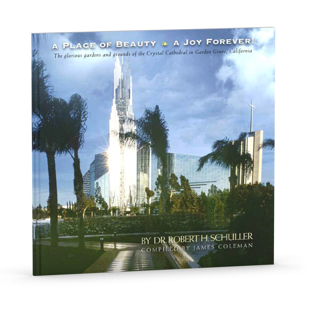 Mein Leben ohne Limits Wenn kein Wunder passiert, sei selbst eins!